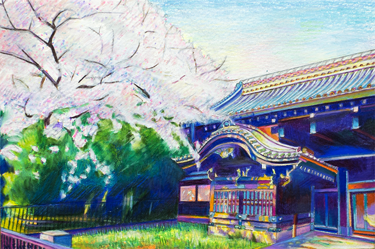 11東京国立博物館、黒門の桜